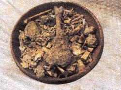 С������������ո�������