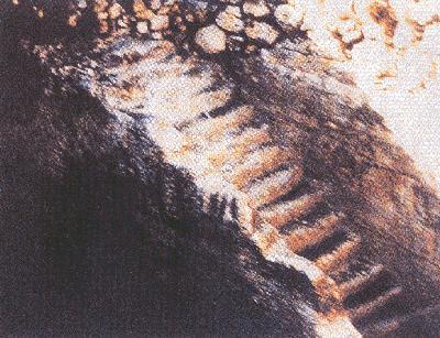 ������ӵĽ��� (100728 bytes)