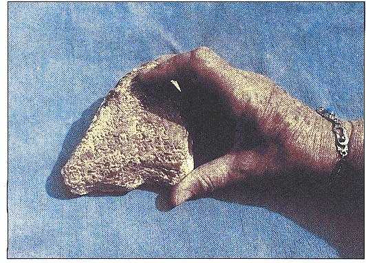 Gilgamesh ʷʫ�Ĳ�Ƭ