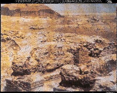 �����ǵ���ַ