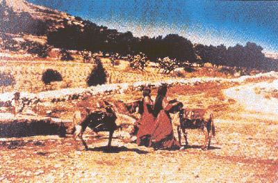 ��̮Ұ�صĿ�