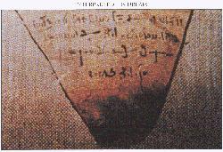 �ų������֣�����