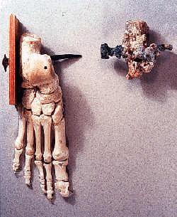 �ź�������� (64105 bytes)