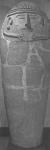  ����ʿ��(7567 bytes)