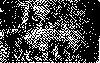 �������������� (838 bytes)